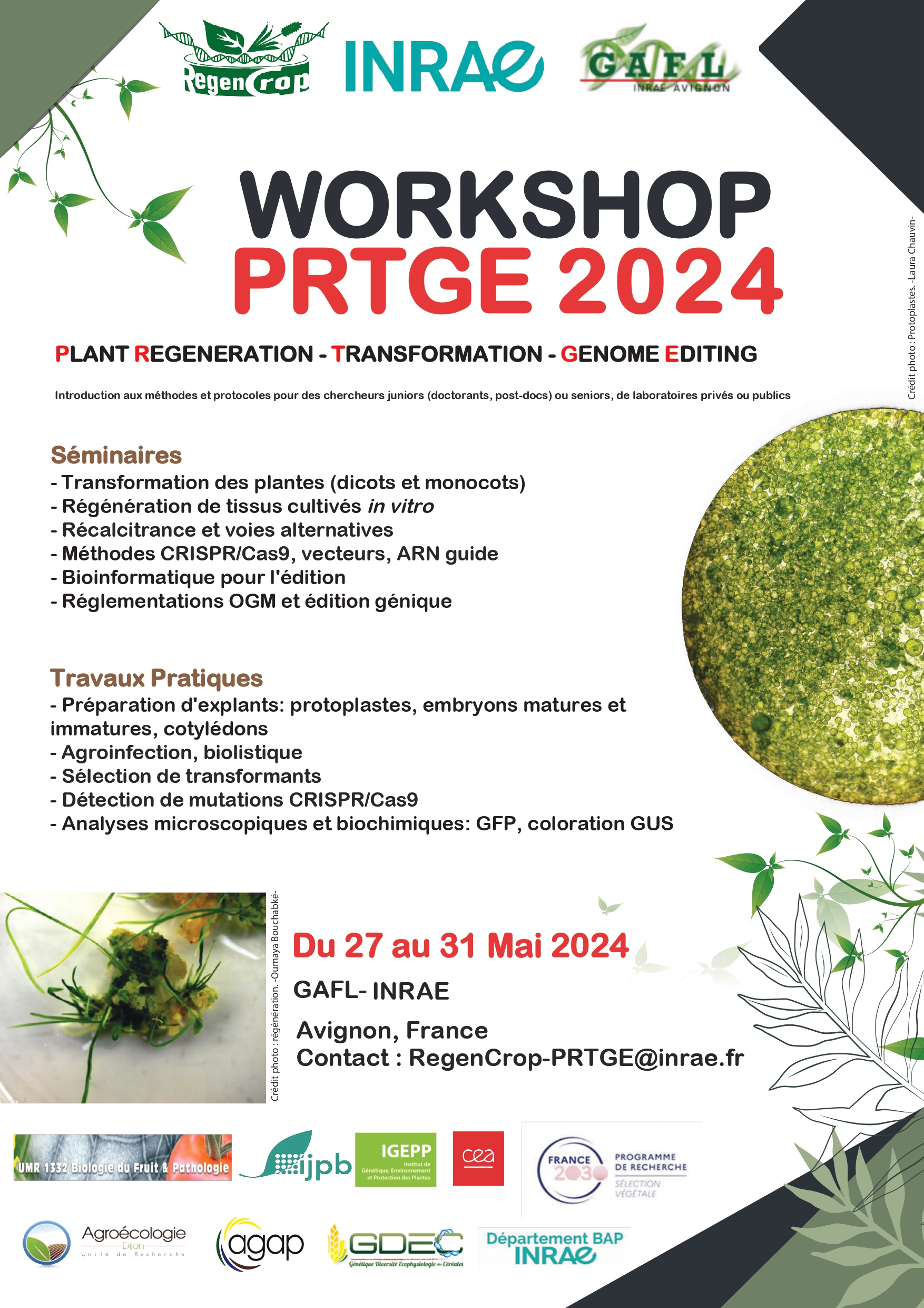 20240427 Workshop RGPTE Programme