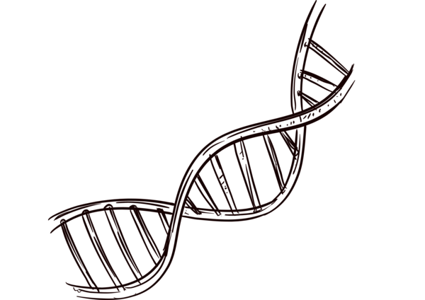 L'essentiel NL(21).png