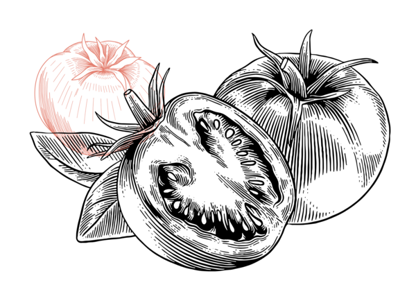 Tomate 3.png Tomate 3.png